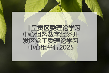 呈贡区委理论学习中心组暨数字经济开发区党工委理论学习中心组举行2025年第七次学习会议